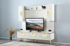 Asur TV Ünitesi-Kod509